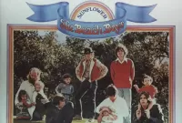Beach Boys - Sunflower / Surfs up