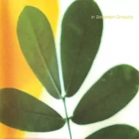 Jack Johnson - In between dreams